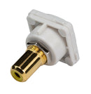 AMDEX Yellow RCA to RCA Jack. Gold Plated - Office Connect 2018