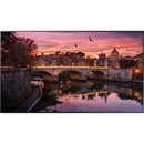 QB75R 75in UHD 16/7 Commercial Display - Office Connect 2018