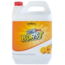 UniSOL Citri Burst Spray & Wipe - Office Connect 2018