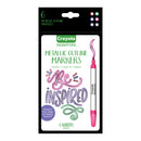 Crayola Signature Metallic Outline Paint Markers 6Pk