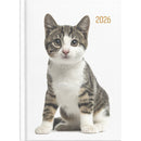 Collins Diary A53 Cats & Dogs 2026