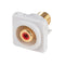 AMDEX Red RCA to F Connector. Gold Plated