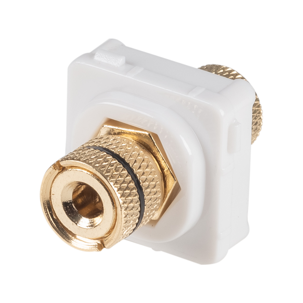AMDEX Black Speaker Binding Post. Gold Plated - Office Connect 2018