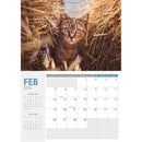 Collins Rosebank Wall Calendar A4 Cats & Kittens Even Year - Office Connect 2018
