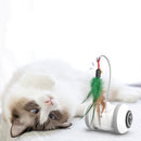 Interactive Cat Toy With Interchangeable Heads  Pet Feather Toys - Office Connect 2018
