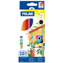 Milan Coloured Pencils Hexagonal Pack 12 Assorted Colours - Office Connect 2018