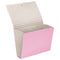 FM A4 File Expanding Pastel Piglet Pink 13 Pocket - Office Connect 2018