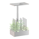 Digitus Indoor Garden Grow Sticks - Office Connect 2018