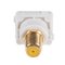 AMDEX Yellow RCA to F Connector. Gold Plated