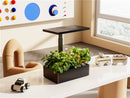 Digitus 20 Pod Indoor Garden - Office Connect 2018