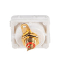 AMDEX Red RCA to Solder Connector. Gold Plated