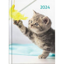Collins Diary A53 Cats & Dogs Even Year - Office Connect 2018