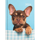 Collins A51 Cats & Dogs Day to Page Diary Even Year - Office Connect 2018