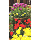Collins Diary CW7 Notes Floral Even Year - Office Connect 2018