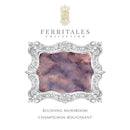 Ferris Wheel Press Fountain Pen Ink Ferritales Blushing Mushroom 20ml - Office Connect 2018