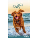 Collins Rosebank Diary Dogs & Puppies 2 Weeks to View Even Year - Office Connect 2018