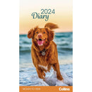Collins Rosebank Diary Dogs & Puppies Month to View Even Year - Office Connect 2018