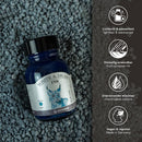 Octopus Fluids Write and Draw Ink 456 Blue Lynx 50ml - Office Connect 2018