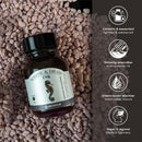 Octopus Fluids Write and Draw Ink 478 Brown Seahorse 50ml - Office Connect 2018
