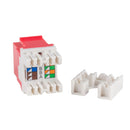 DYNAMIX Cat6 RED Keystone RJ45 Jack for 110 Face Plate T568A/T568B Wiring. 180 Slimline Jack. - Office Connect 2018