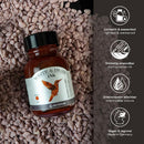 Octopus Fluids Write and Draw Ink 480 Brown Colibri 50ml - Office Connect 2018