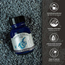 Octopus Fluids Write and Draw Ink 484 Blue Sloth 50ml - Office Connect 2018