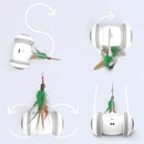 Interactive Cat Toy With Interchangeable Heads  Pet Feather Toys - Office Connect 2018