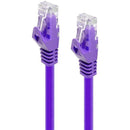 0.5M PURPLE CAT6 NETWORK CABLE - Office Connect 2018