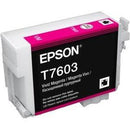 UltraChrome HD Ink - Vivid Magenta Ink C - Office Connect 2018