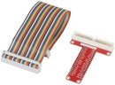 Raspberry Pi GPIO Breakout Lead and Header for breadboard - Office Connect