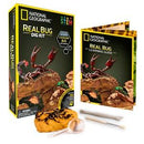 Science Kit - Bug Excavation Kit - Office Connect