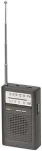 Portable AM/FM Transistor Radio - Office Connect