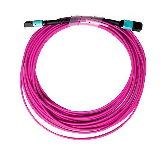 DYNAMIX 50M OM4 MPO ELITE Trunk Multimode Fibre Cable. POLARITY C - Office Connect 2018