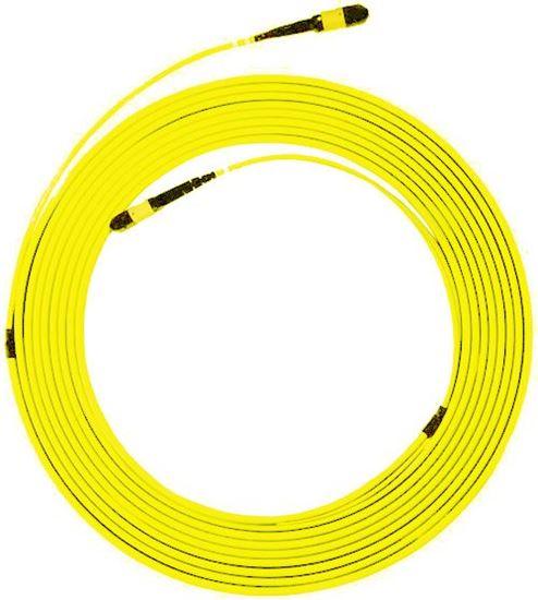 DYNAMIX 25M MPO APC ELITE Trunk Single-Mode Fibre Cable. POLARITY C - Office Connect 2018