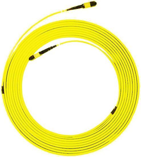 DYNAMIX 30M MPO APC ELITE Trunk Single-Mode Fibre Cable. POLARITY C - Office Connect 2018