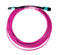 DYNAMIX 30M OM4 MPO ELITE Trunk Multimode Fibre Cable. - Office Connect