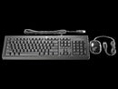 HP USB Essential Keyboard and Mouse Bundle - Office Connect