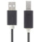 ALOGIC 5M USB 2.0 TYPE A TO TYPE A EXTENSION CABLE MALE TO FEMALE - Office Connect 2018