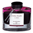 Pilot Iroshizuku Ink 50ml Crimson Glory Vine Yama-budo (INK-50-YB) - Office Connect